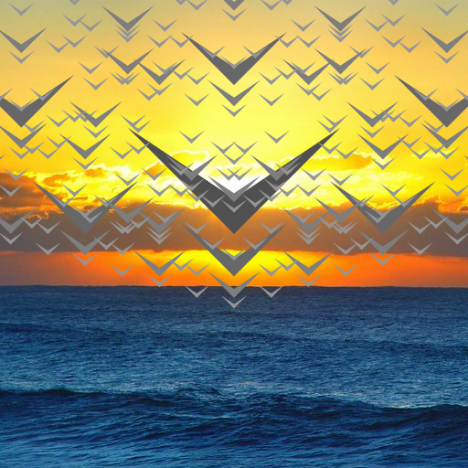 I decided to make something natural and I remembered the kind of drawings I used to make when I was little. With a lot of birds flying in the sky and how sometimes it looked like a pattern.