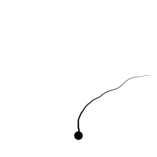 My program draws a neuron with an axon and axon branches, extending from a cell body (soma). The thickness and color of the branch is adjusted depending on the distance from the soma. The structure was inspired by Purkinje cells in the cerebellum (http://en.wikipedia.org/wiki/Purkinje_cell) which are well-known for their extensive branching. Although the axon branches of Purkinje cells gravitate toward the edge of the cerebellum, the branches in this model are not influenced so strongly by direction. To write the program, I first wrote a function to draw a branch given a starting position and direction. At every step, the new coordinates are calculated and a line segment drawn, then the direction is randomly adjusted. I also prettified the image by changing the thickness and color of the line depending on how far along the axon/branch it is.