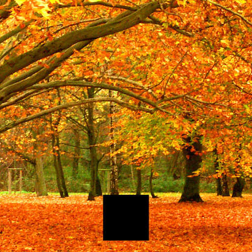 The fall weather served as an inspiration for my design. I recreated the Pythagoras tree which recursively draws two squares with side lengths that are the sides of a right triangle. The triangle's hypotenuse is the side length of the higher-order square. I browsed through Wikipedia's fractal page and was intrigued by the Pythagorean tree, specifically by how simple squares can create an organic image. I used the following website to understand the concepts behind the Pythagorean tree: http://ecademy.agnesscott.edu/~lriddle/ifs/pythagorean/pythTree.htm. I also researched the mathematical rotation matrix to develop the rotate() method, using this website: http://www.euclideanspace.com/maths/geometry/affine/aroundPoint/