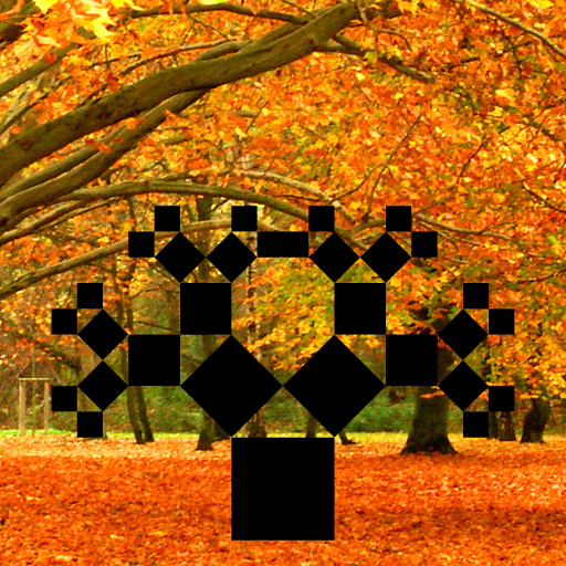 The fall weather served as an inspiration for my design. I recreated the Pythagoras tree which recursively draws two squares with side lengths that are the sides of a right triangle. The triangle's hypotenuse is the side length of the higher-order square. I browsed through Wikipedia's fractal page and was intrigued by the Pythagorean tree, specifically by how simple squares can create an organic image. I used the following website to understand the concepts behind the Pythagorean tree: http://ecademy.agnesscott.edu/~lriddle/ifs/pythagorean/pythTree.htm. I also researched the mathematical rotation matrix to develop the rotate() method, using this website: http://www.euclideanspace.com/maths/geometry/affine/aroundPoint/