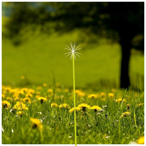 My Art.java draws a dandelion in a field. I started with a snowflake fractal and tweaked things until it resembled a fluffy dandelion. The fractal basically draws two lines 40 degrees apart which each split into smaller lines also 40 degrees apart, and so on.
