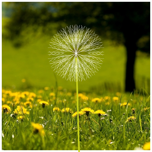 My Art.java draws a dandelion in a field. I started with a snowflake fractal and tweaked things until it resembled a fluffy dandelion. The fractal basically draws two lines 40 degrees apart which each split into smaller lines also 40 degrees apart, and so on.