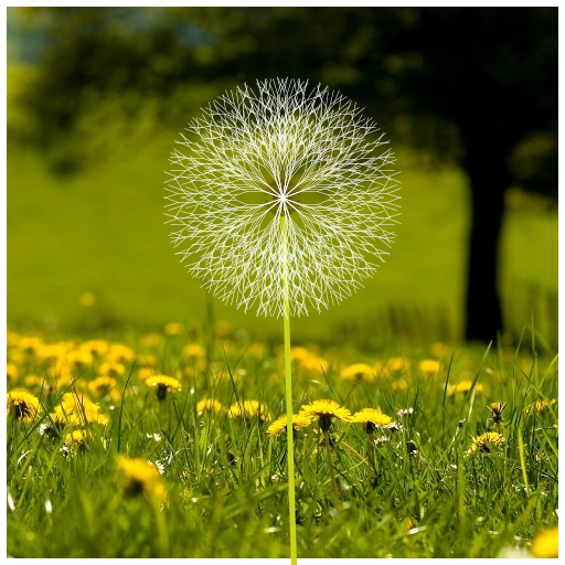My Art.java draws a dandelion in a field. I started with a snowflake fractal and tweaked things until it resembled a fluffy dandelion. The fractal basically draws two lines 40 degrees apart which each split into smaller lines also 40 degrees apart, and so on.