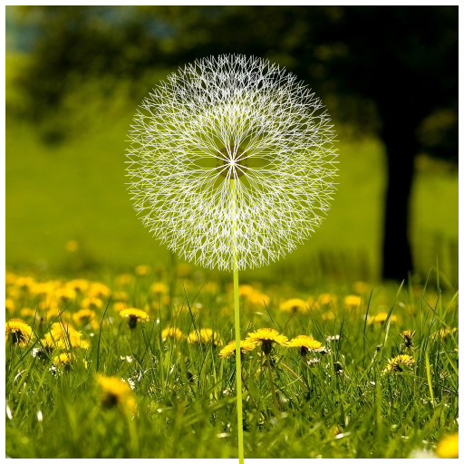 My Art.java draws a dandelion in a field. I started with a snowflake fractal and tweaked things until it resembled a fluffy dandelion. The fractal basically draws two lines 40 degrees apart which each split into smaller lines also 40 degrees apart, and so on.