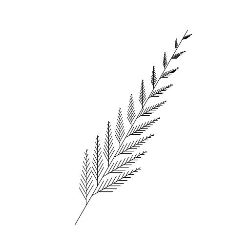 My art prints out a picture of a fern. A fern is a stem with smaller ferns on the both sides at different places along the stem. The ferns are of different sizes.