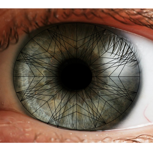 My art project is an eye with a design that represents the spokes of the iris. I based my program on Sierpinski, and didn't use any other sources.