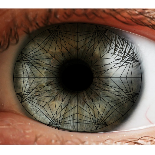 My art project is an eye with a design that represents the spokes of the iris. I based my program on Sierpinski, and didn't use any other sources.