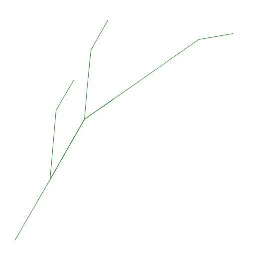 My artistic creation is a plant formed by a multitude of line segments of various lengths and angles. It was adapted from an L-system, or Lindenmayer system, plant fractal.
