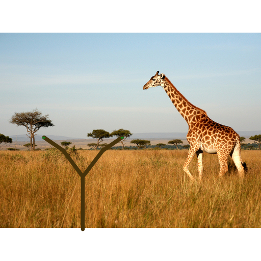 My art is a picture of a giraffe eating leaves off of a recursively growing tree. I separated the branches and the trunk which is drawn at the very end. I also draw leaves. Instead of making the tree round, I kept it triangular and it reminds me of trees in the African Savannah so I added the picture in the back of the giraffe who is supposed to look like he's eating the leaves once the tree grows out.