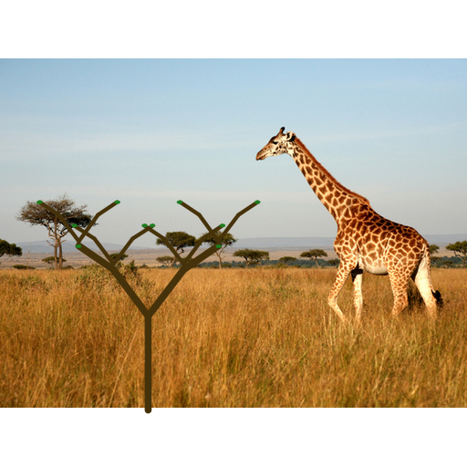 My art is a picture of a giraffe eating leaves off of a recursively growing tree. I separated the branches and the trunk which is drawn at the very end. I also draw leaves. Instead of making the tree round, I kept it triangular and it reminds me of trees in the African Savannah so I added the picture in the back of the giraffe who is supposed to look like he's eating the leaves once the tree grows out.