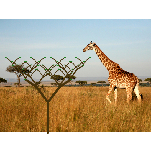 My art is a picture of a giraffe eating leaves off of a recursively growing tree. I separated the branches and the trunk which is drawn at the very end. I also draw leaves. Instead of making the tree round, I kept it triangular and it reminds me of trees in the African Savannah so I added the picture in the back of the giraffe who is supposed to look like he's eating the leaves once the tree grows out.