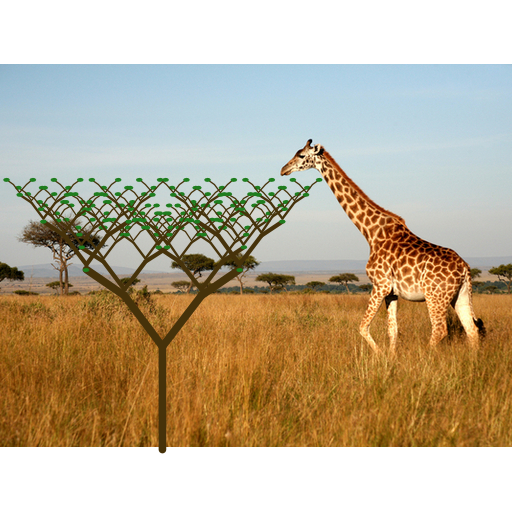My art is a picture of a giraffe eating leaves off of a recursively growing tree. I separated the branches and the trunk which is drawn at the very end. I also draw leaves. Instead of making the tree round, I kept it triangular and it reminds me of trees in the African Savannah so I added the picture in the back of the giraffe who is supposed to look like he's eating the leaves once the tree grows out.