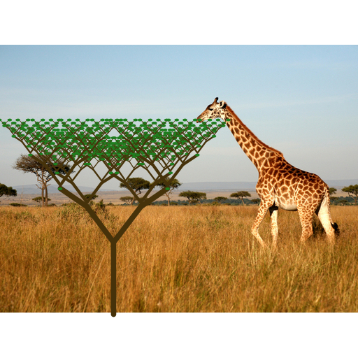 My art is a picture of a giraffe eating leaves off of a recursively growing tree. I separated the branches and the trunk which is drawn at the very end. I also draw leaves. Instead of making the tree round, I kept it triangular and it reminds me of trees in the African Savannah so I added the picture in the back of the giraffe who is supposed to look like he's eating the leaves once the tree grows out.