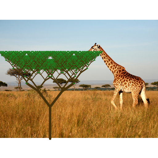 My art is a picture of a giraffe eating leaves off of a recursively growing tree. I separated the branches and the trunk which is drawn at the very end. I also draw leaves. Instead of making the tree round, I kept it triangular and it reminds me of trees in the African Savannah so I added the picture in the back of the giraffe who is supposed to look like he's eating the leaves once the tree grows out.