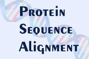 Protein Sequence Alignment, click to enter!