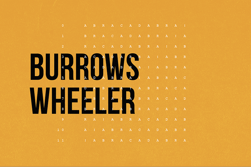 Burrows–Wheeler