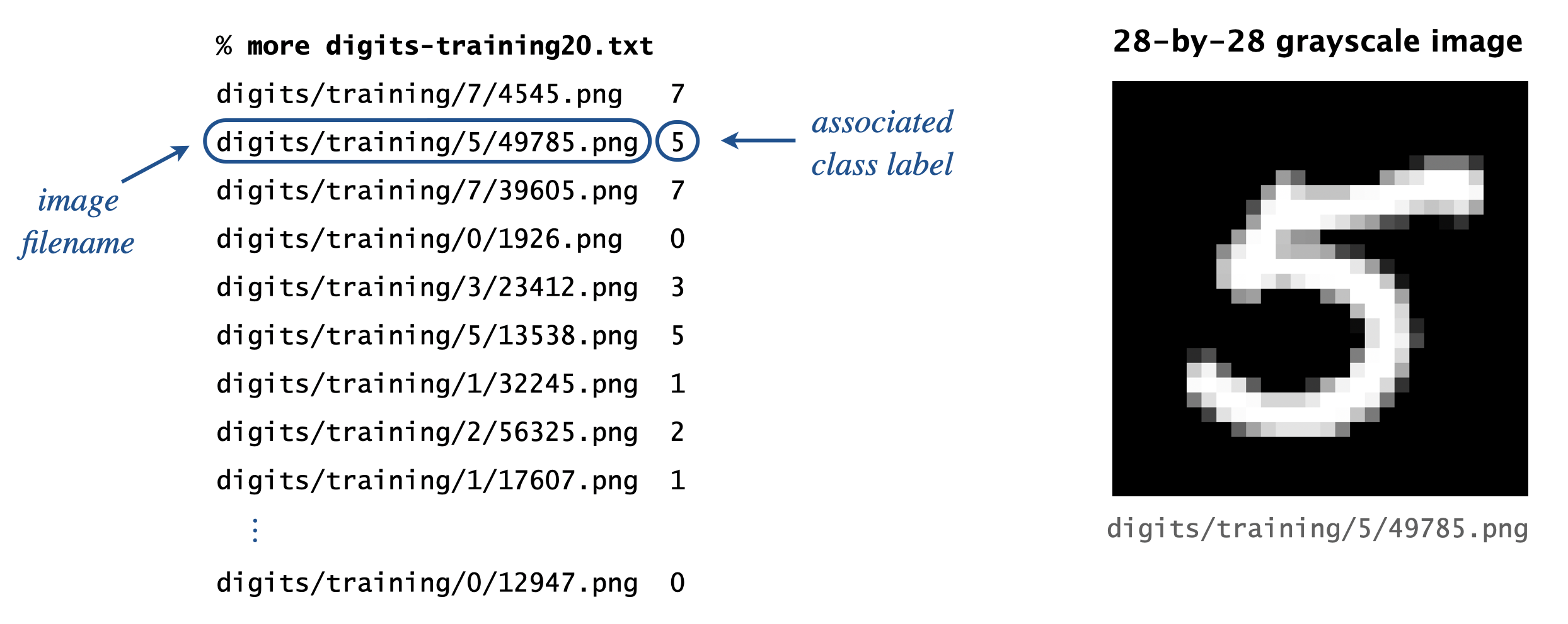 input file format