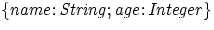 ${\it {\{name: String; age: Integer \}}}$