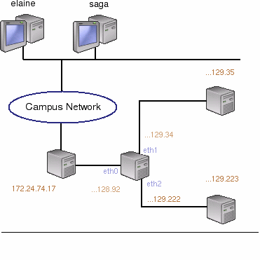 layout