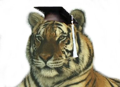 SmarterTiger