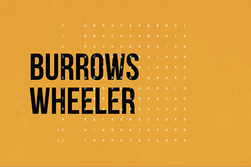 Burrows Wheeler