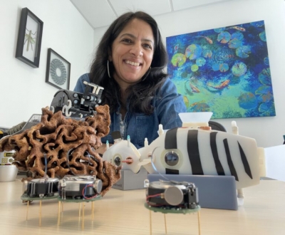 Radhika Nagpal sitting in her office with an assortment of small robot models.