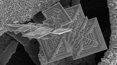 electron microscope image of tin crystals