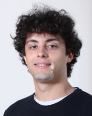 Francesco Salvi