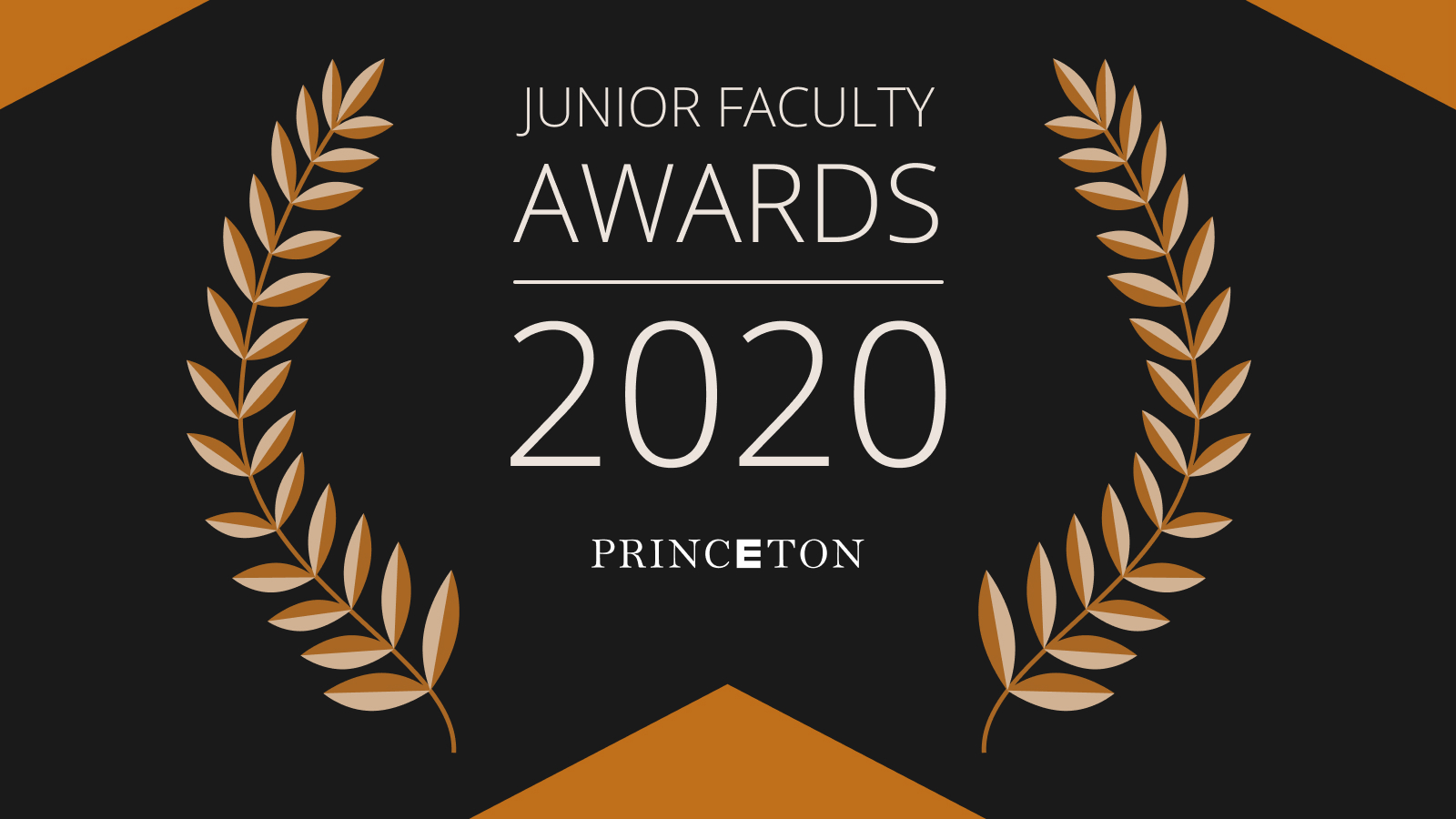 Text that reads Junior Faculty awards 2020