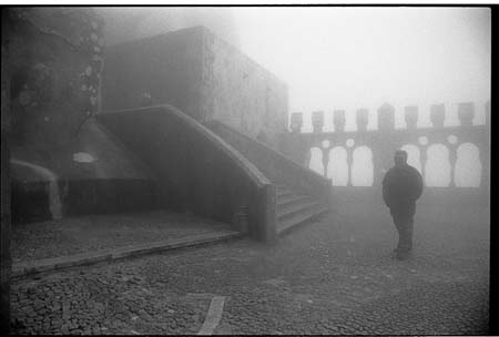 fog31