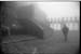 fog31